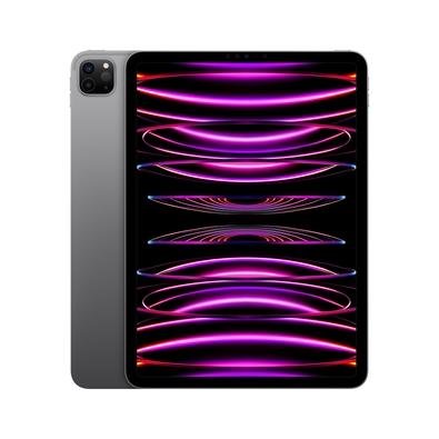 Amazon.com : Apple iPad Pro (11-inch, Wi-Fi, 64GB) - Space Gray (2018)  (Renewed) : Electronics