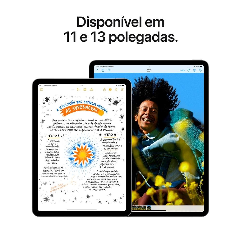 iPad Air Apple, Tela 13