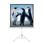 Tela Projeção Tripé 1:1, 84", com Bordas, 1,50x1,50m, Quadrada - TTQS84