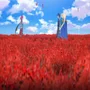 Jogo Sword Art Online Alicization Lycoris Ps4