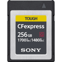 Carto De Memória Cfexpress 160GB Sony KaBuM