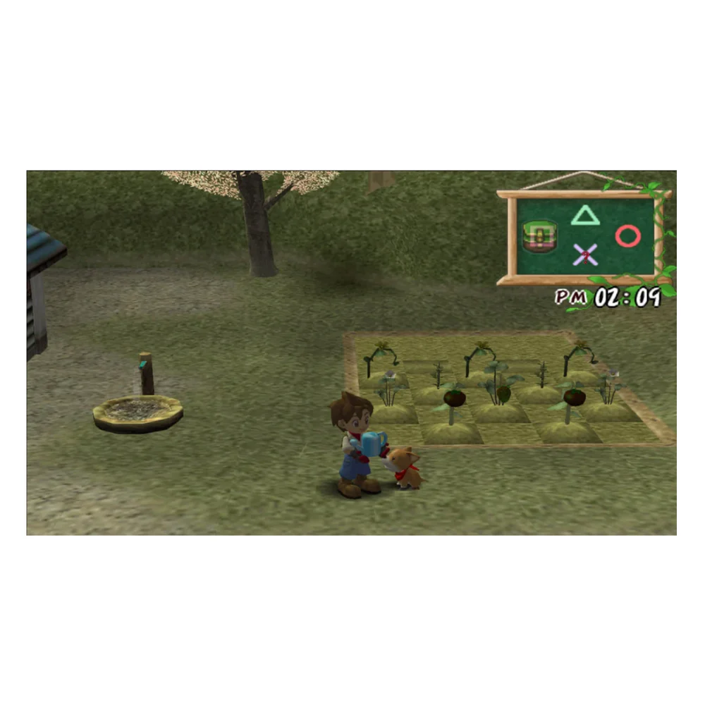 Jogo Harvest Moon A Wonderful Life Special Edition -ps2 Jogo Harvest Moon A Wonderful Life Special Edition -ps2