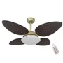 Ventilador Volare P Palmae 220v E Controle Remoto