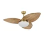 Ventilador De Teto Dormamu Dourado 3 Pás Rádica Freijó 110v