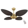Ventilador Volare Off P Palmae 220v E Controle Remoto