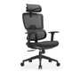 Cadeira De Escritório Ergonômica Aurove 186a Edge Preto
