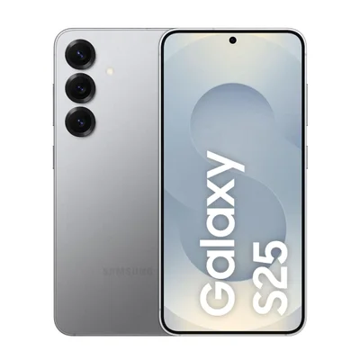 Usado - Samsung S25 256 Gb Cinza - Excelente